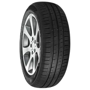 225/60/R16 98V MINERVA F209
